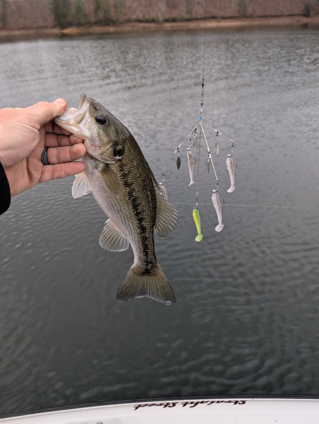 GT-A-RIG