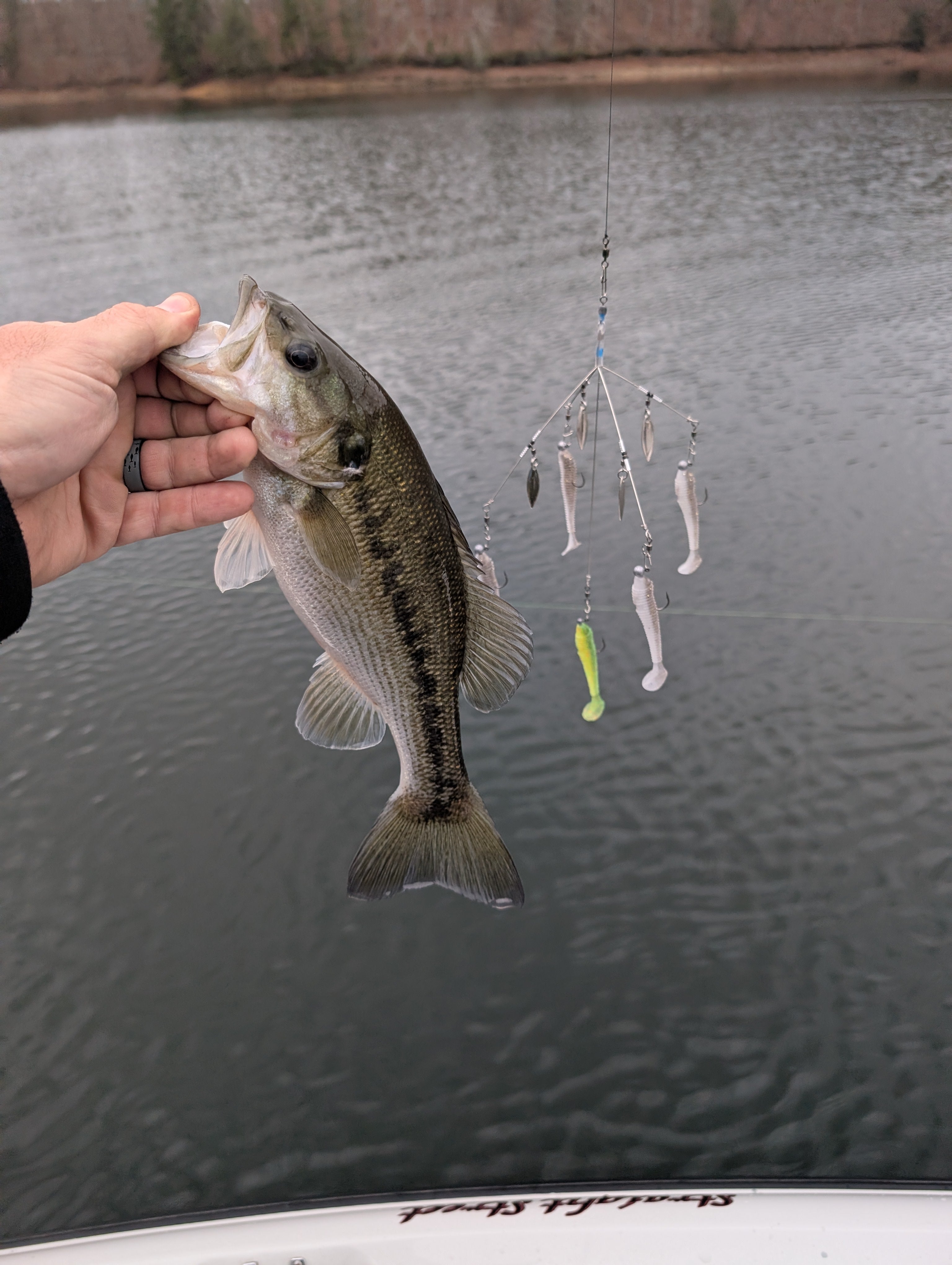 GT-A-RIG