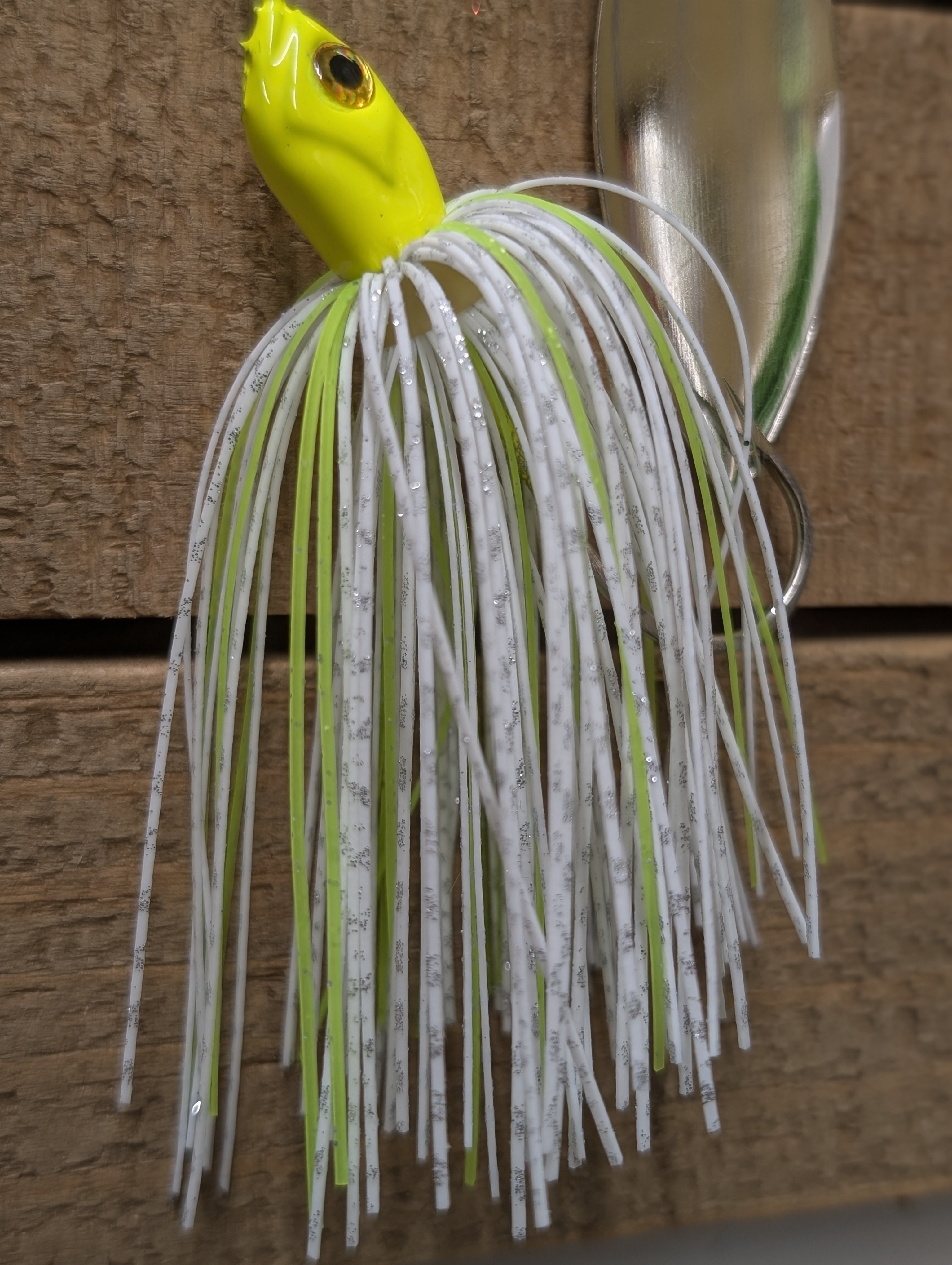 SB Disco Shad