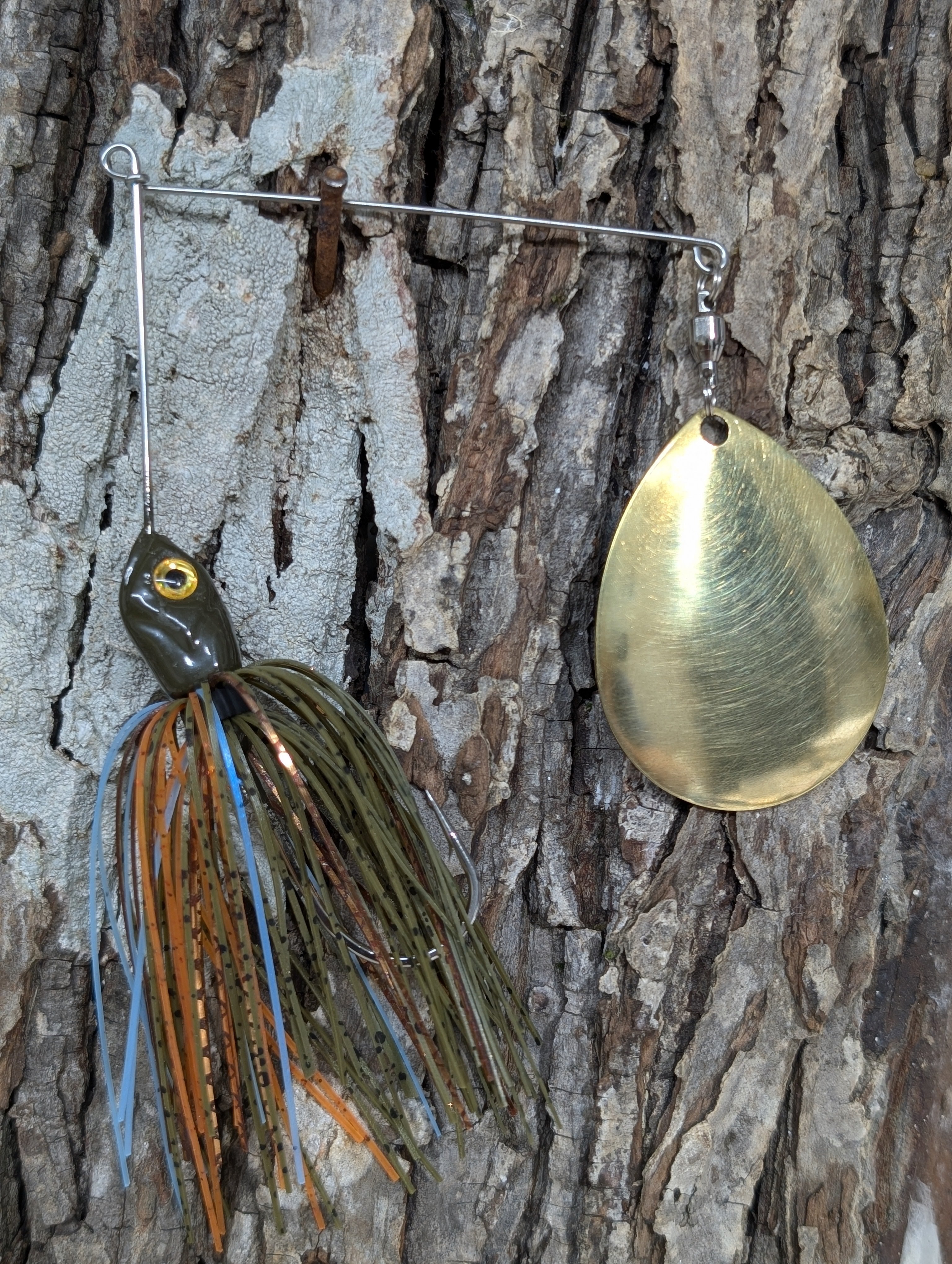 SB Kentucky Gill